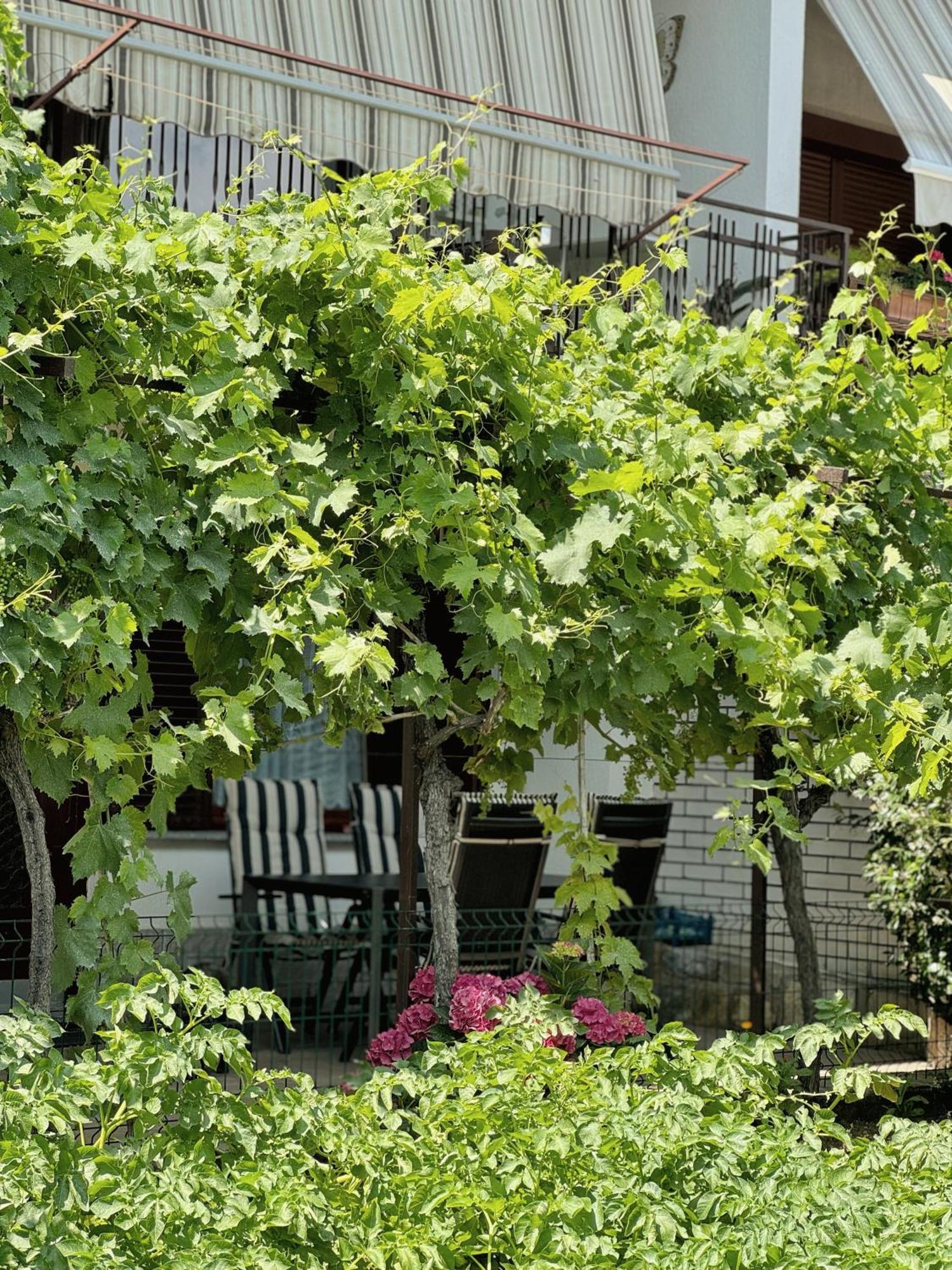 Apartment Gregoric Изола Экстерьер фото